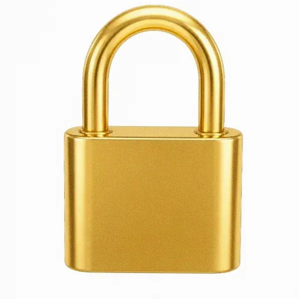 Orange padlock — Garrison Bet