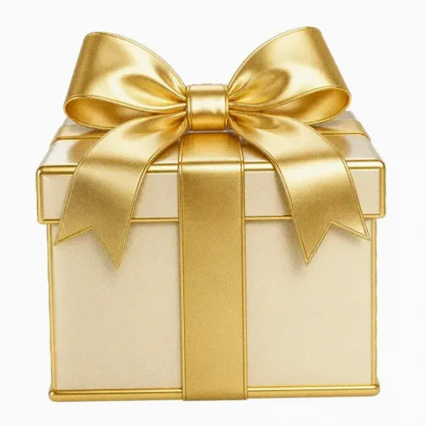 Wrapped gift box — Garrison Bet