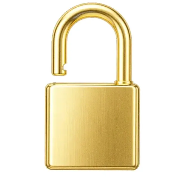 Padlock — Garrison Bet